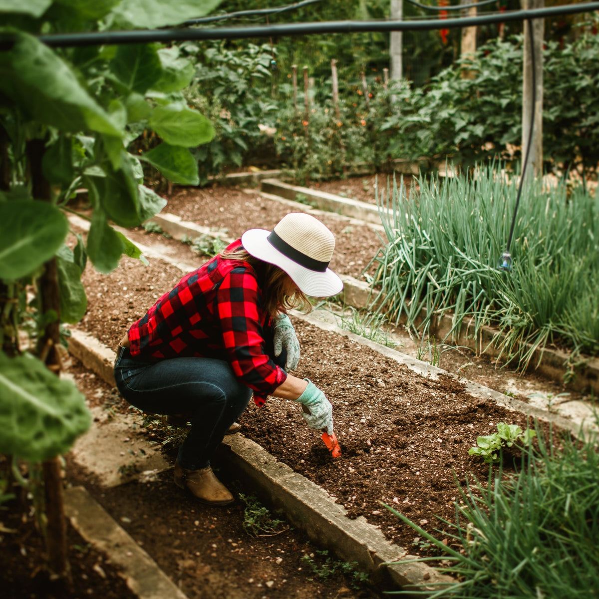 Gartenarbeit und Rasenpflege