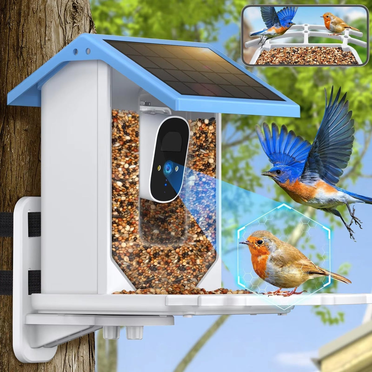 Chirpyq Intelligentes Vogelfutterhaus