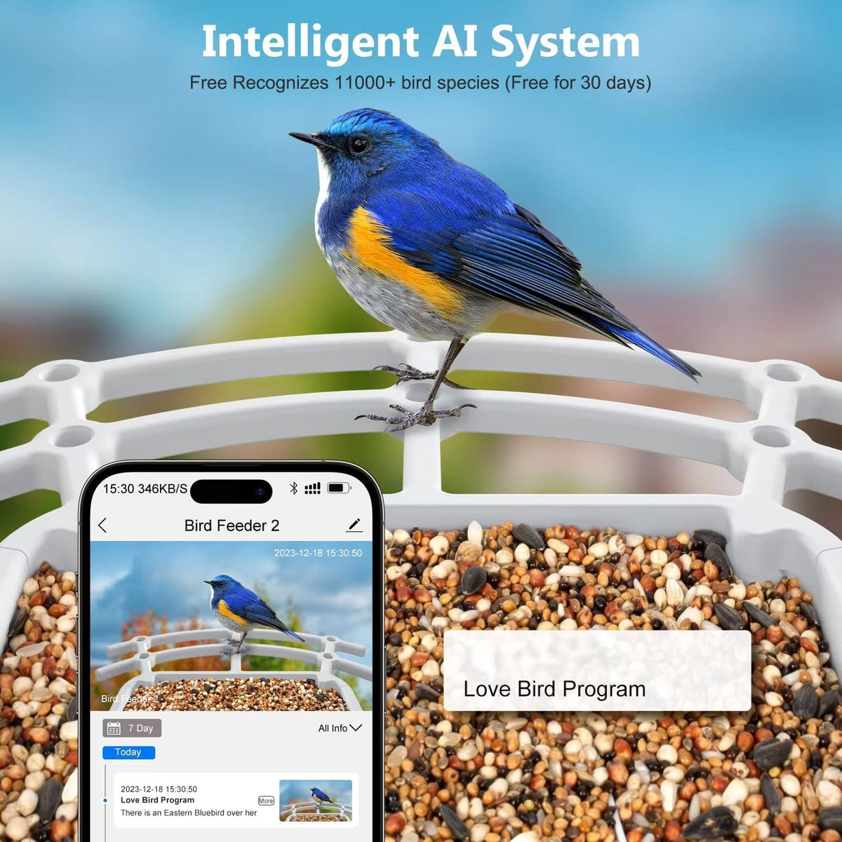 Chirpyq Intelligentes Vogelfutterhaus