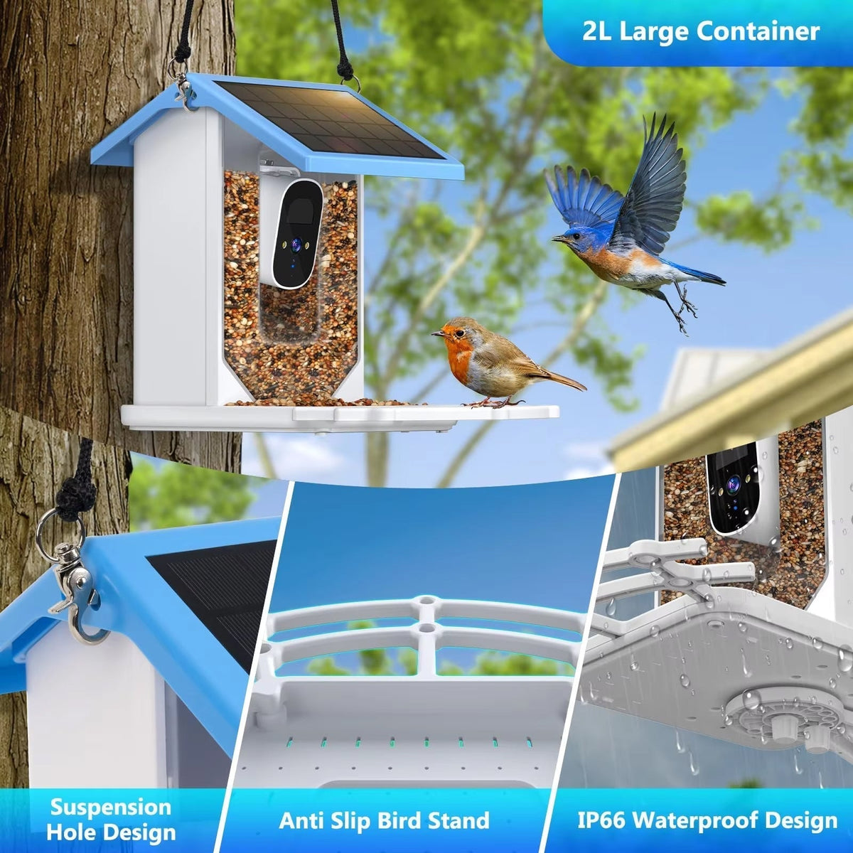 Chirpyq Intelligentes Vogelfutterhaus