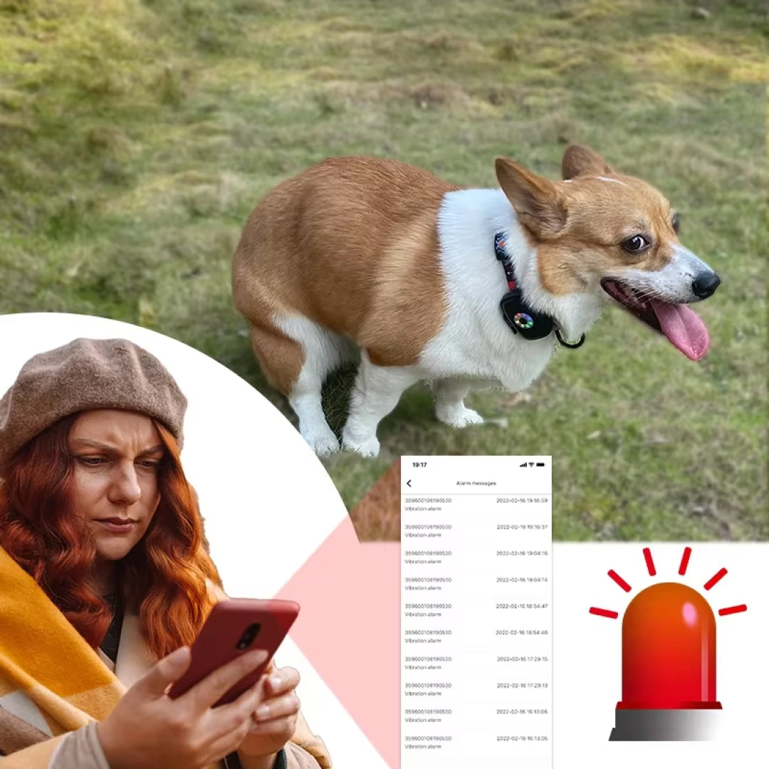 CatMaxe GPS-Halsband für Katzen