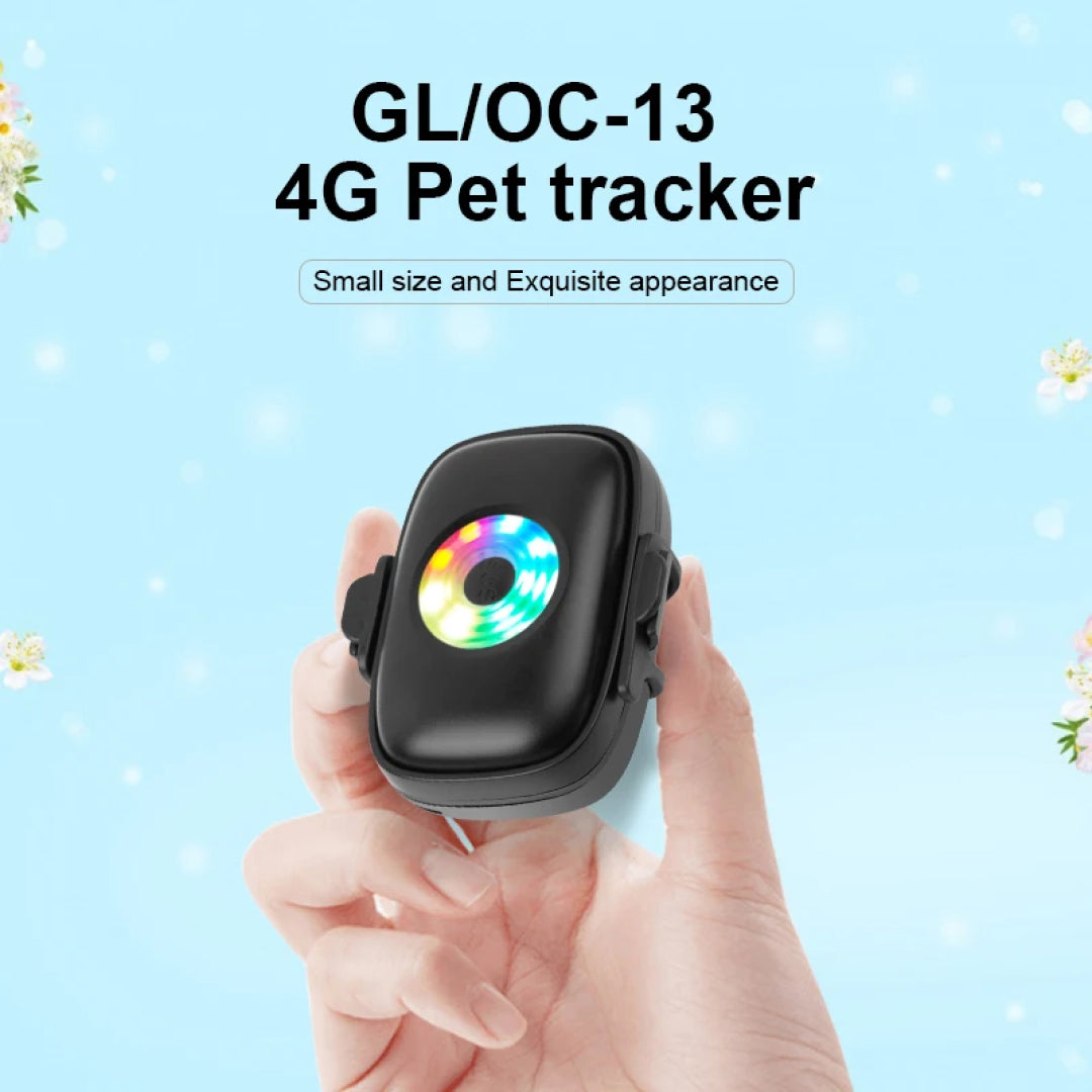 CatMaxe GPS-Halsband für Katzen