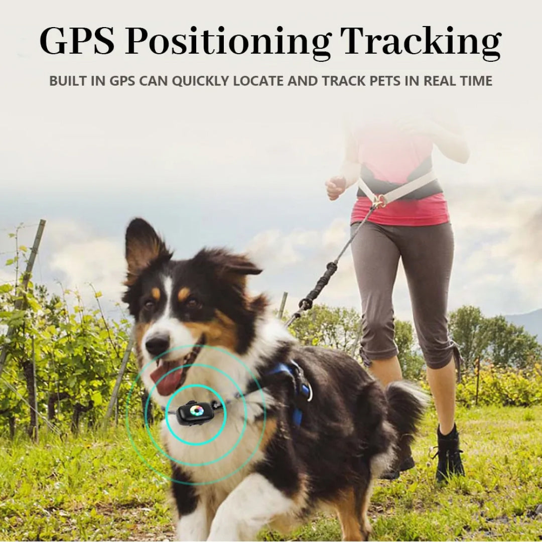 CatMaxe GPS-Halsband für Katzen