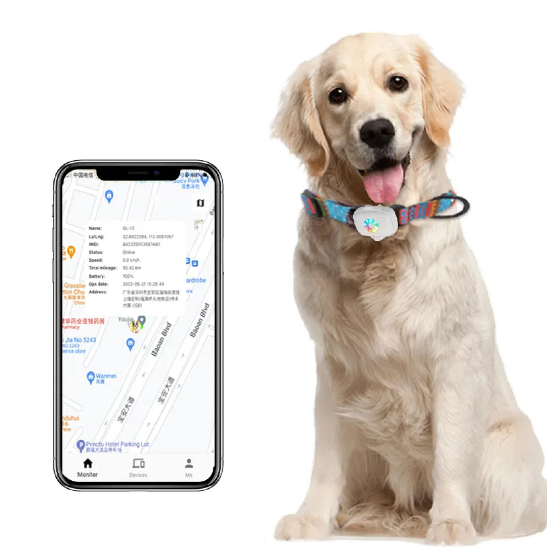 CatMaxe GPS-Halsband für Katzen