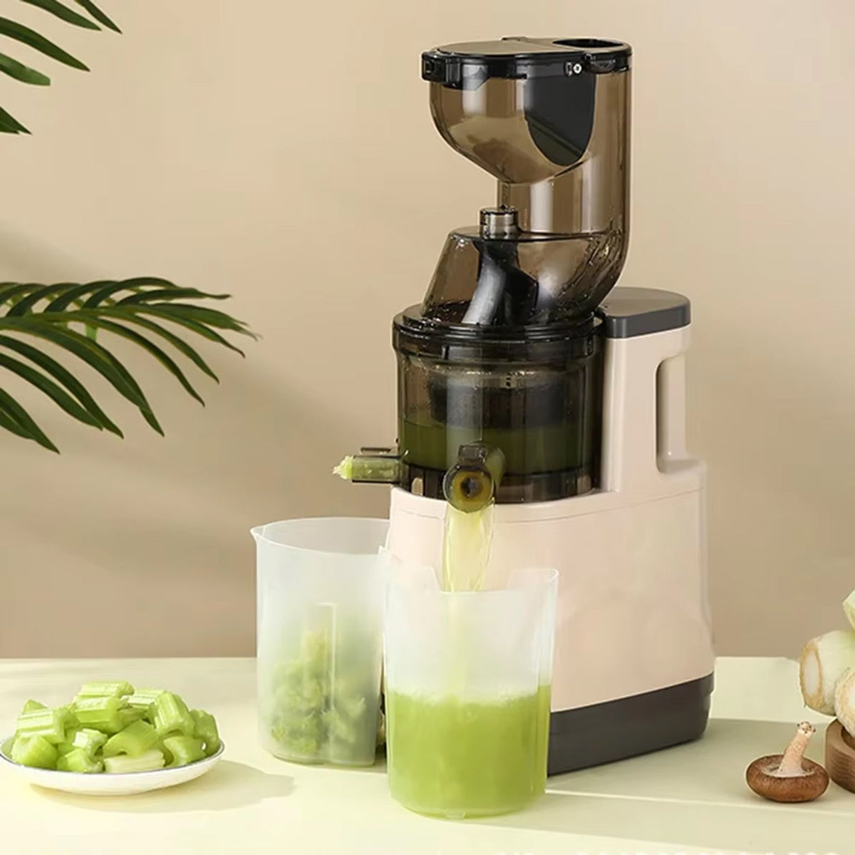 JuiCiento Slowjuicer