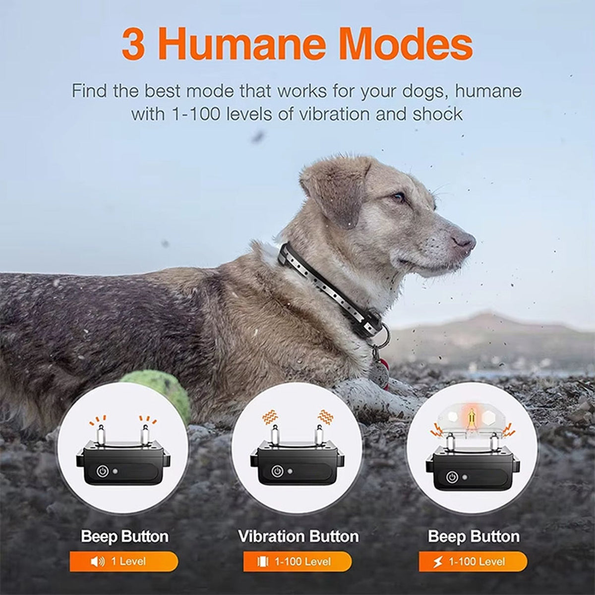 Pawtopie Trainingshalsband für Hunde