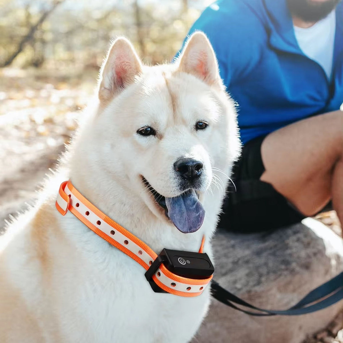 Pawtopie Trainingshalsband für Hunde