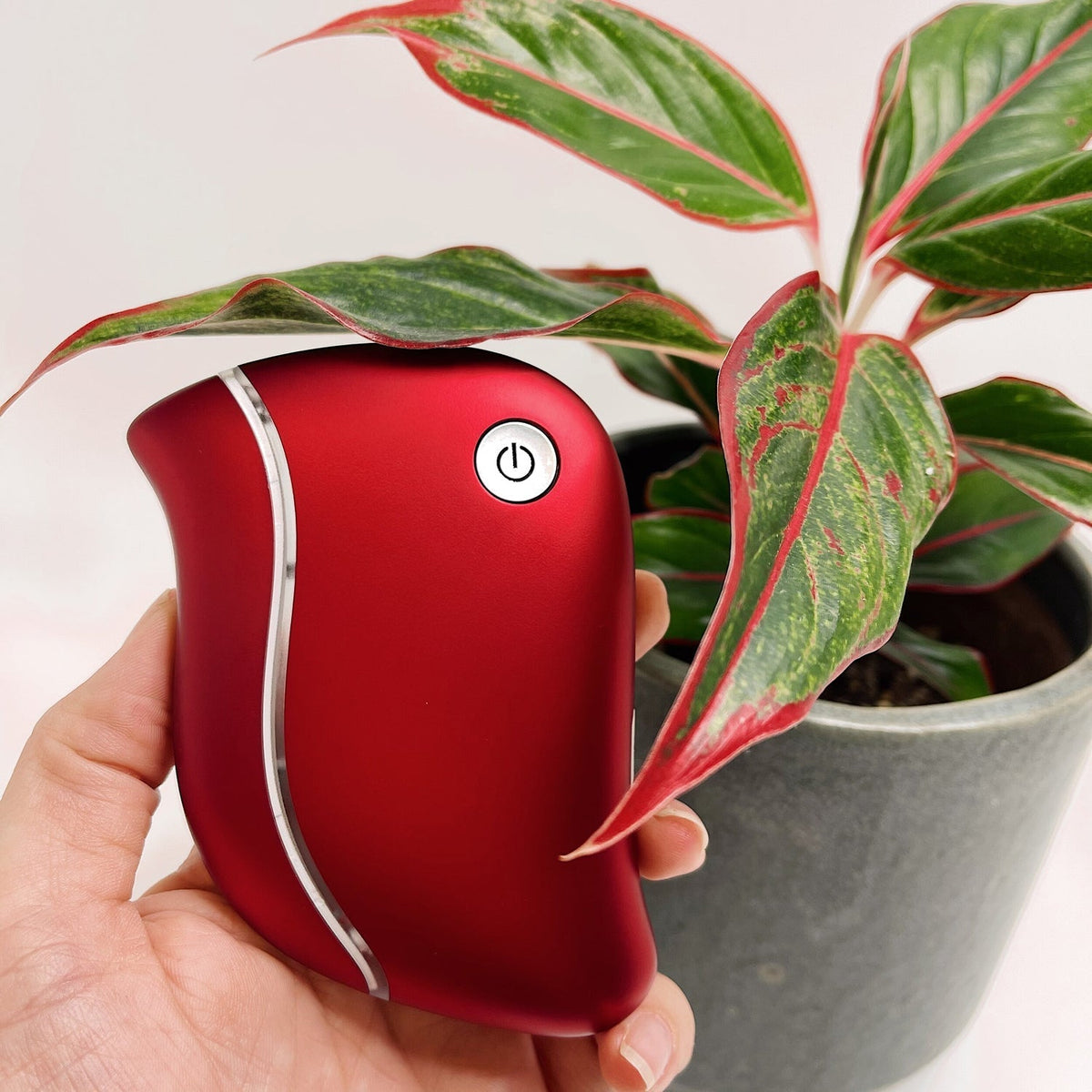 ShaLifto Gua-Sha-Werkzeug